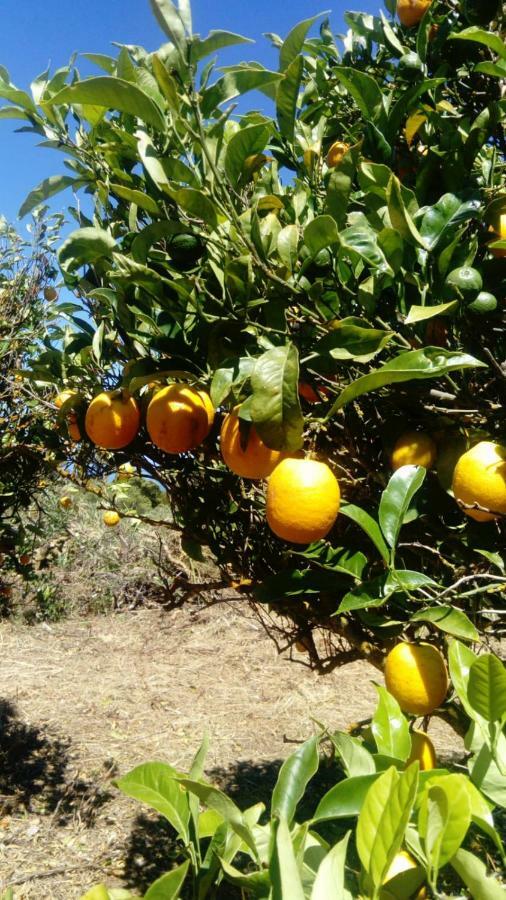 El Limonero Guest House Garafia Ngoại thất bức ảnh